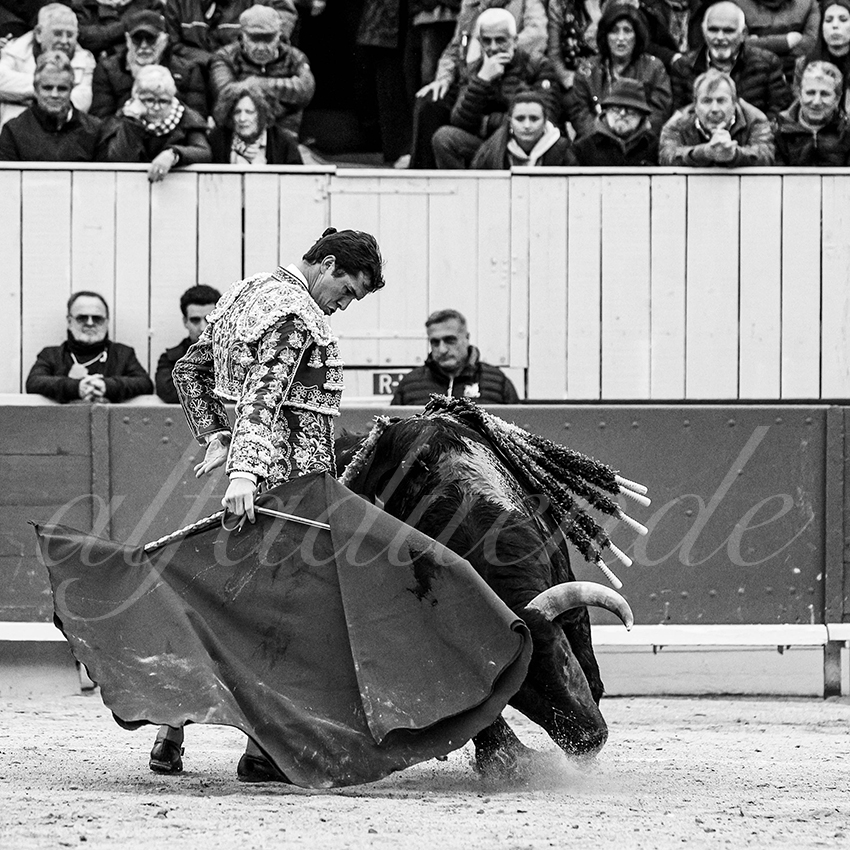 20240330 arles by alfaduende 008 bw bd