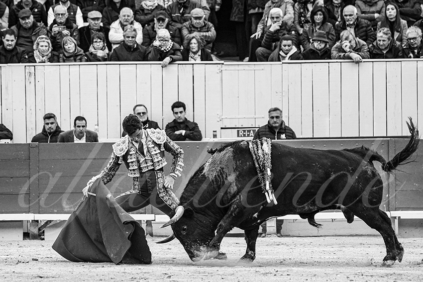 20240330 arles by alfaduende 007 bw bd