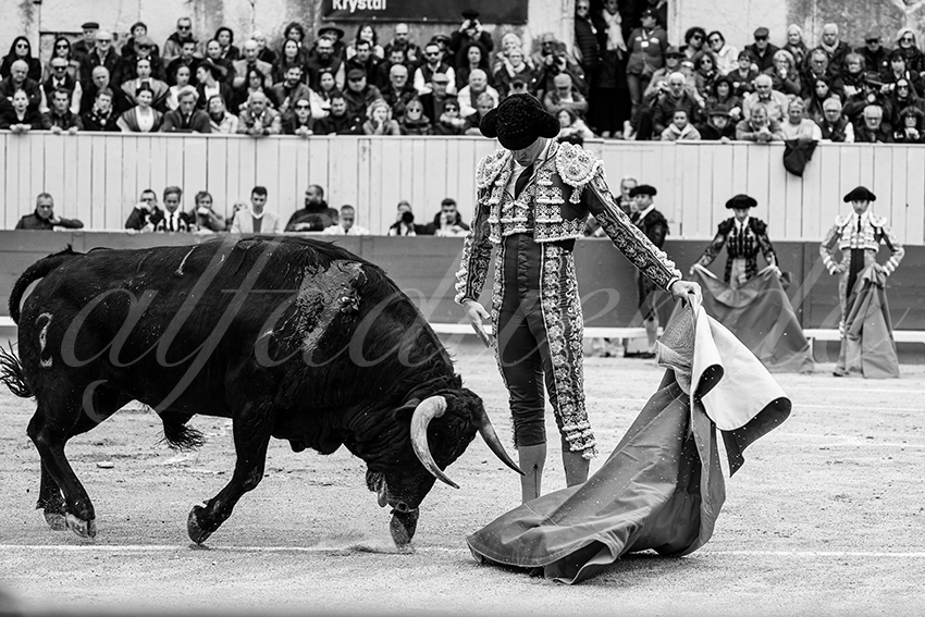 20240330 arles by alfaduende 006 bw bd