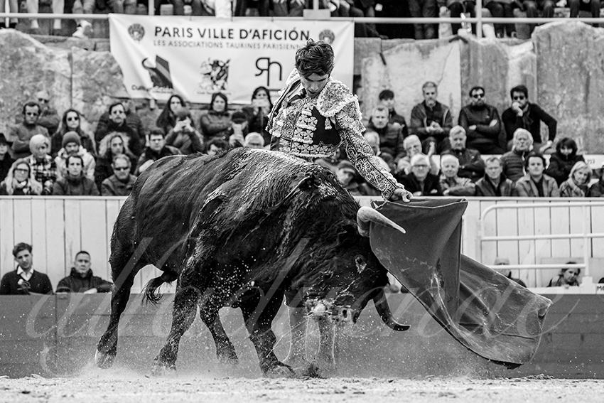 20240330 arles by alfaduende 004 bw bd