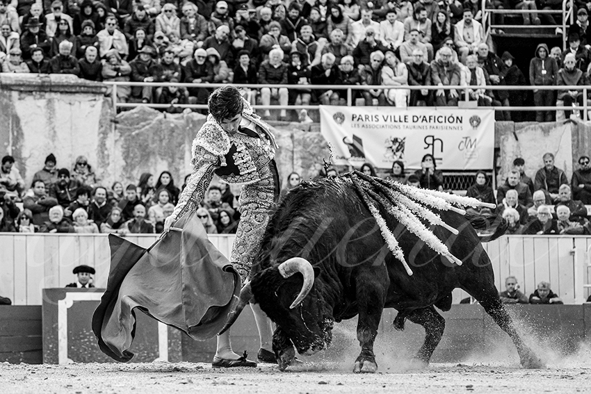 20240330 arles by alfaduende 003 bw bd