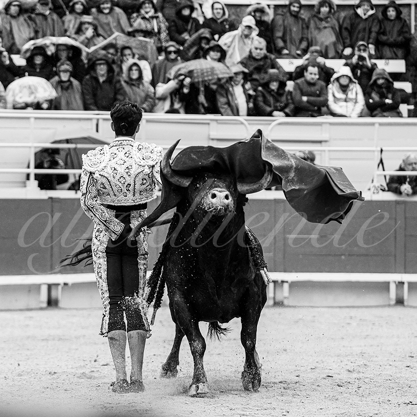 20240331 arles 022 bw bd