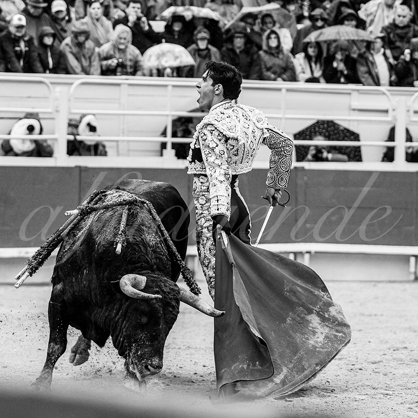 20240331 arles 021 bw bd