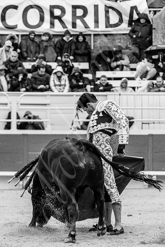 20240331 arles 020 bw bd