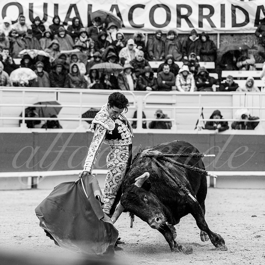 20240331 arles 019 bw bd