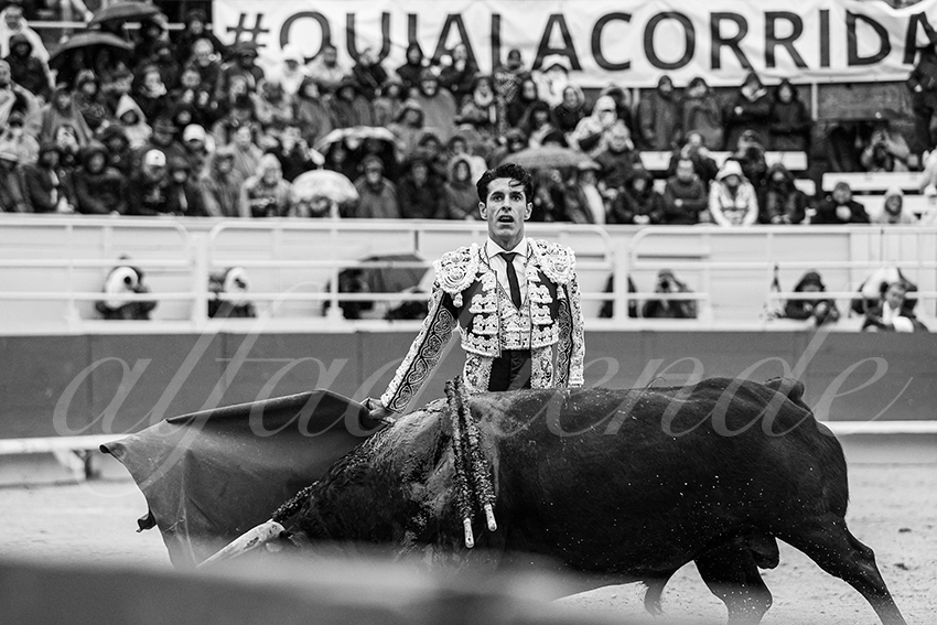 20240331 arles 017 bw bd