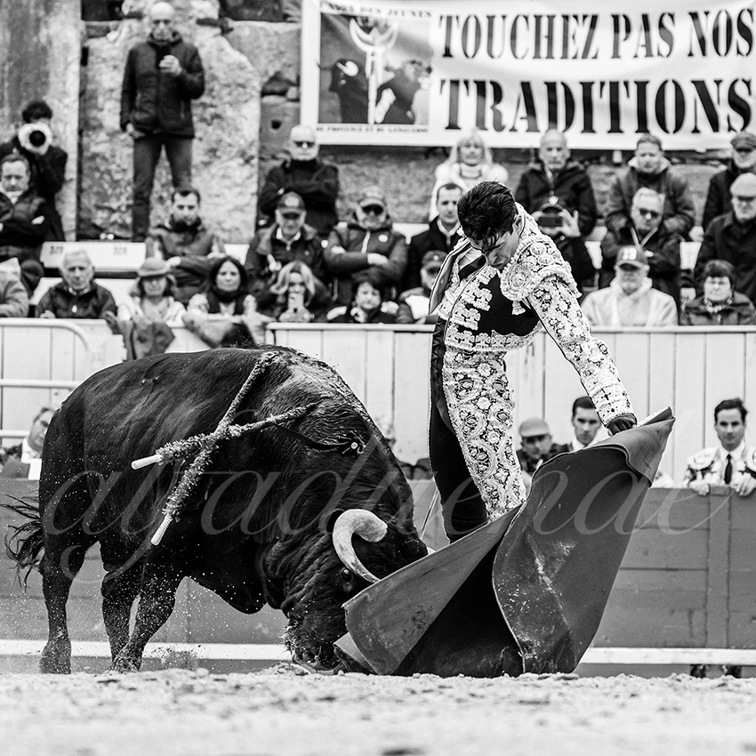 20240331 arles 013 bw bd