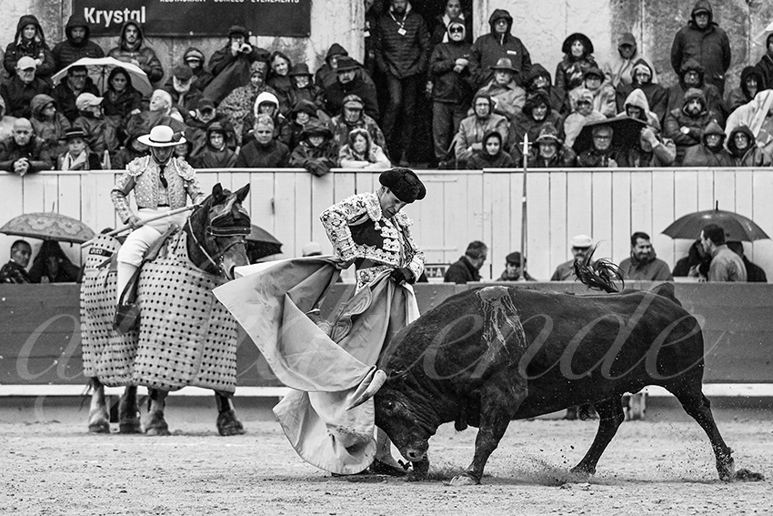 20240331 arles 012 bw bd