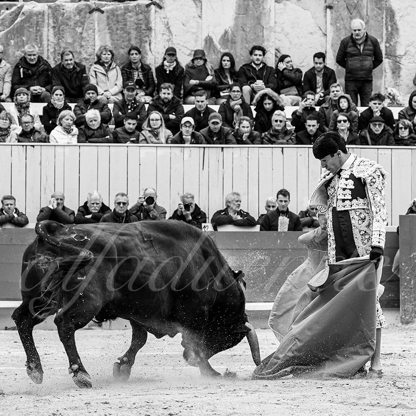 20240331 arles 011 bw bd