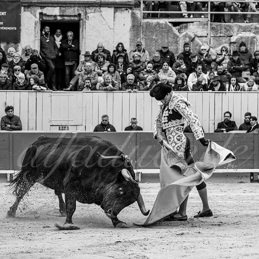 20240331 arles 010 bw bd