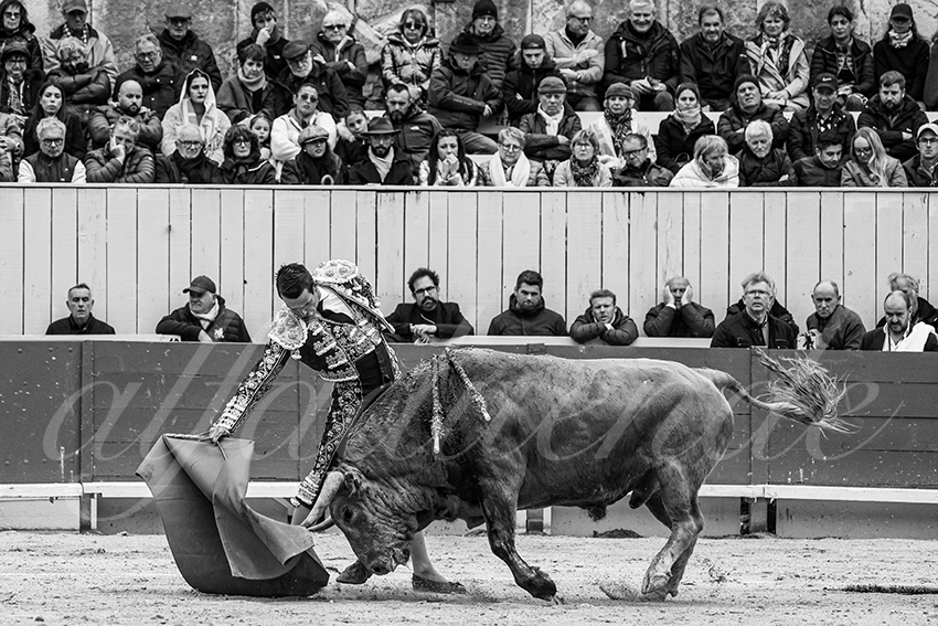 20240331 arles 008 bw bd