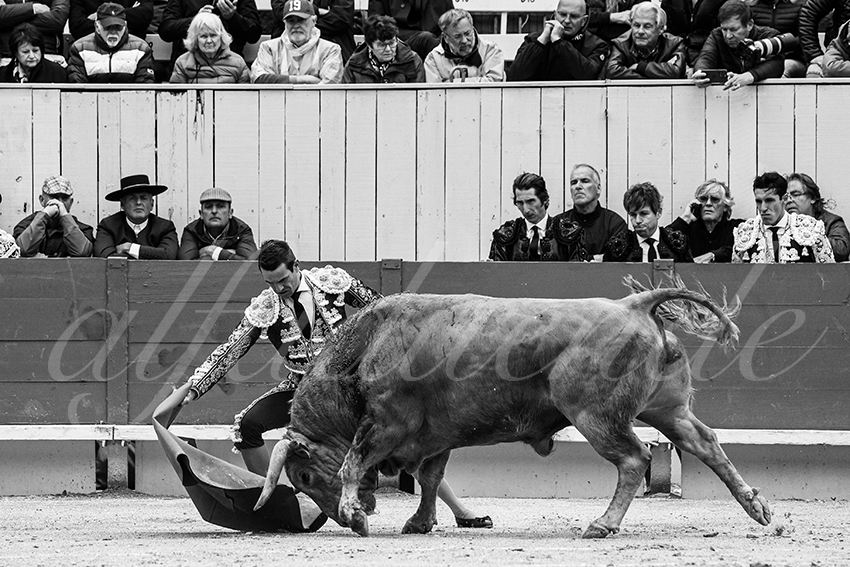 20240331 arles 007 bw bd