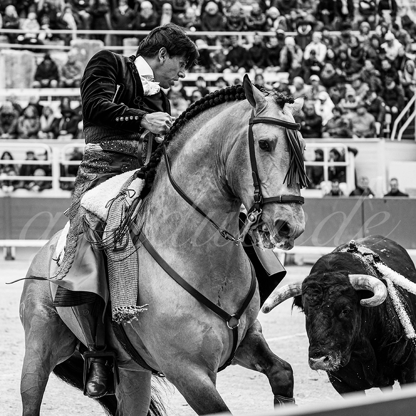 20240331 arles 004 bw bd