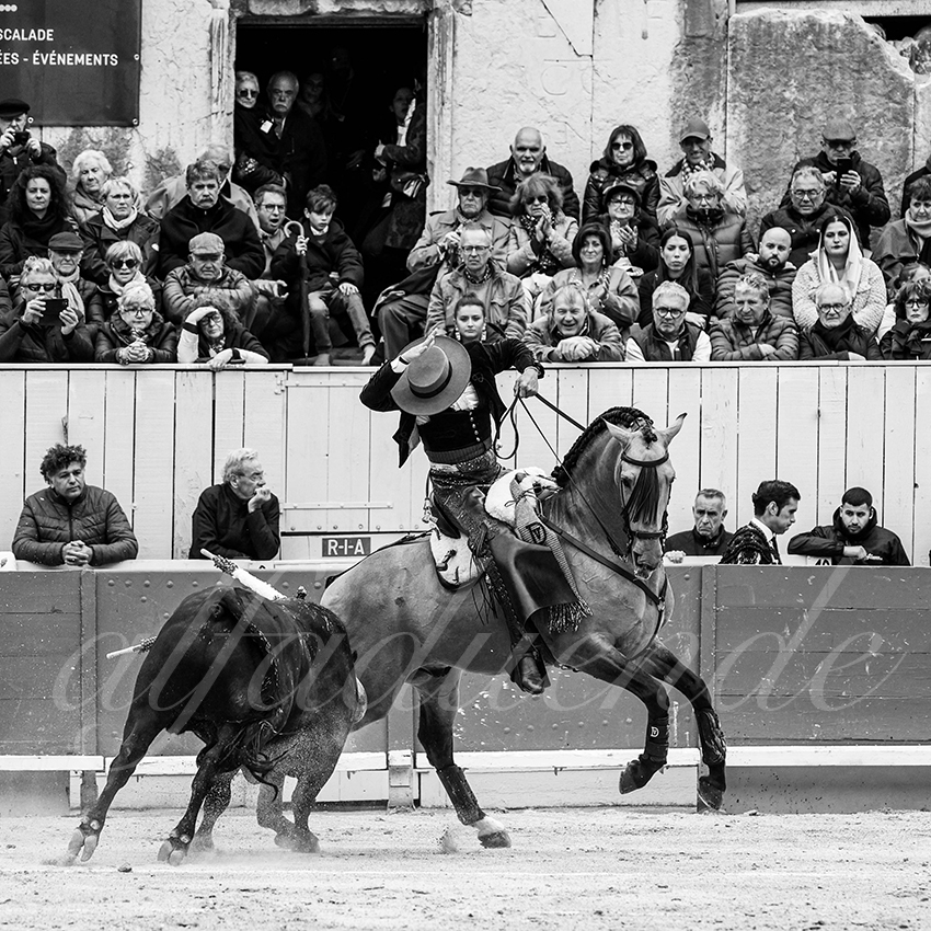 20240331 arles 003 bw bd