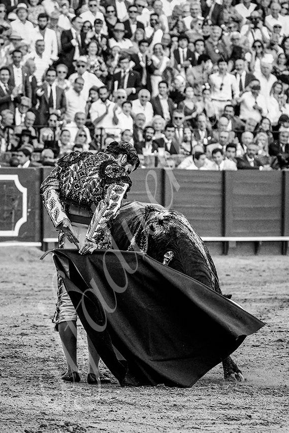 20230426 sevilla expo por alfaduende 011 copie