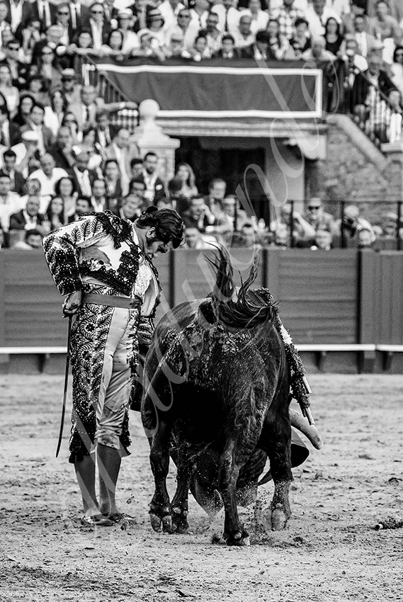 20230426 sevilla expo por alfaduende 010 copie