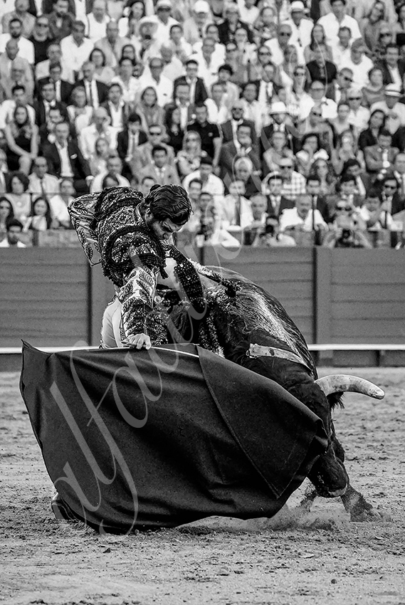 20230426 sevilla expo por alfaduende 008 copie