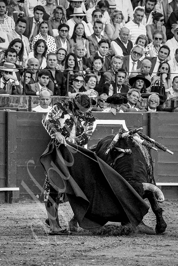 20230426 sevilla expo por alfaduende 007 copie