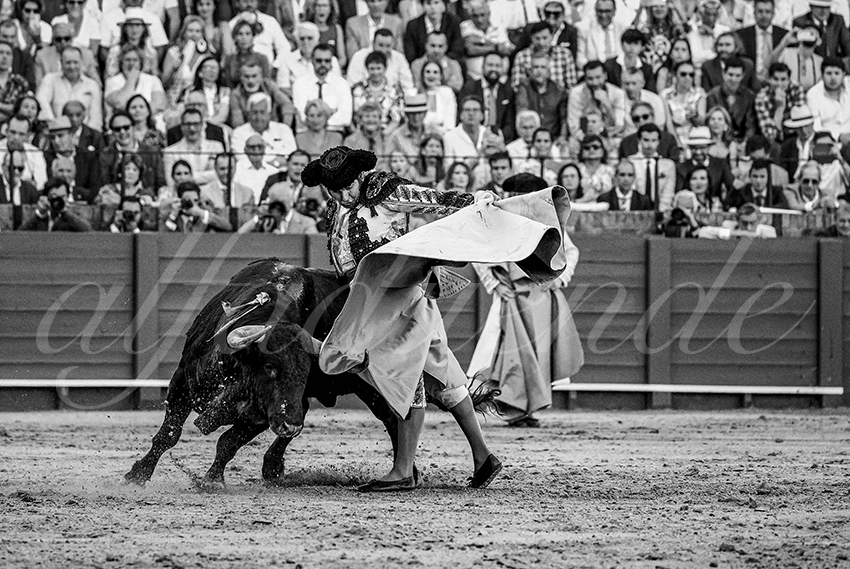 20230426 sevilla expo por alfaduende 006 copie