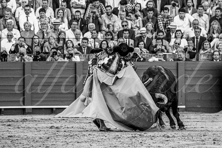 20230426 sevilla expo por alfaduende 005 copie