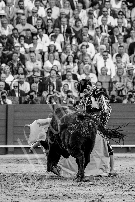 20230426 sevilla expo por alfaduende 004 copie