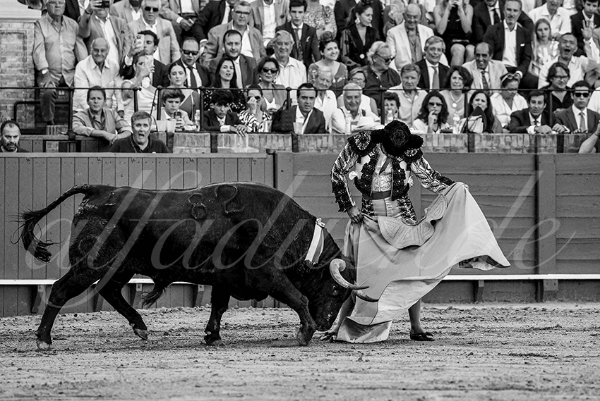 20230426 sevilla expo por alfaduende 003 copie
