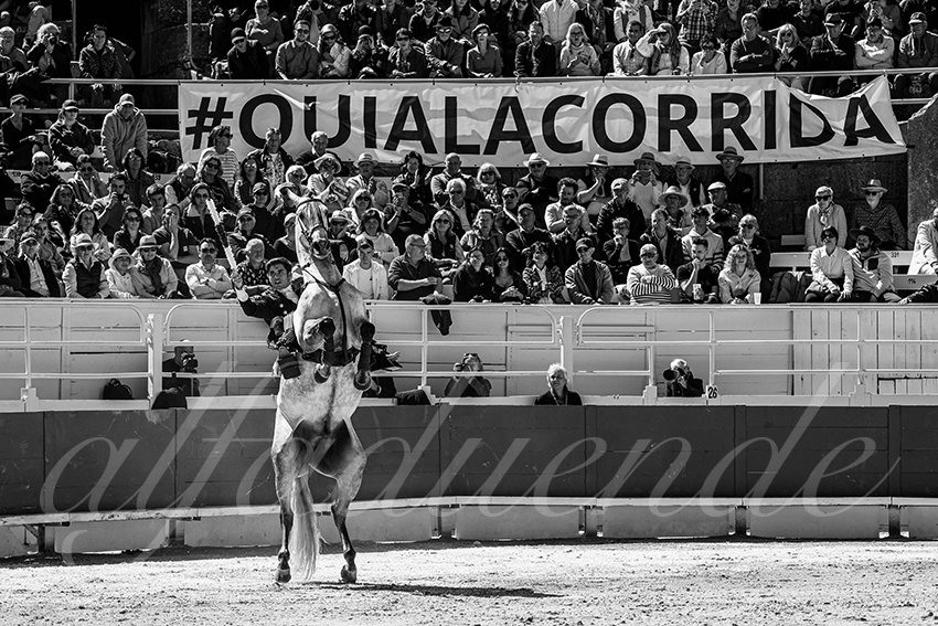 20240401 arles 013 bw bd