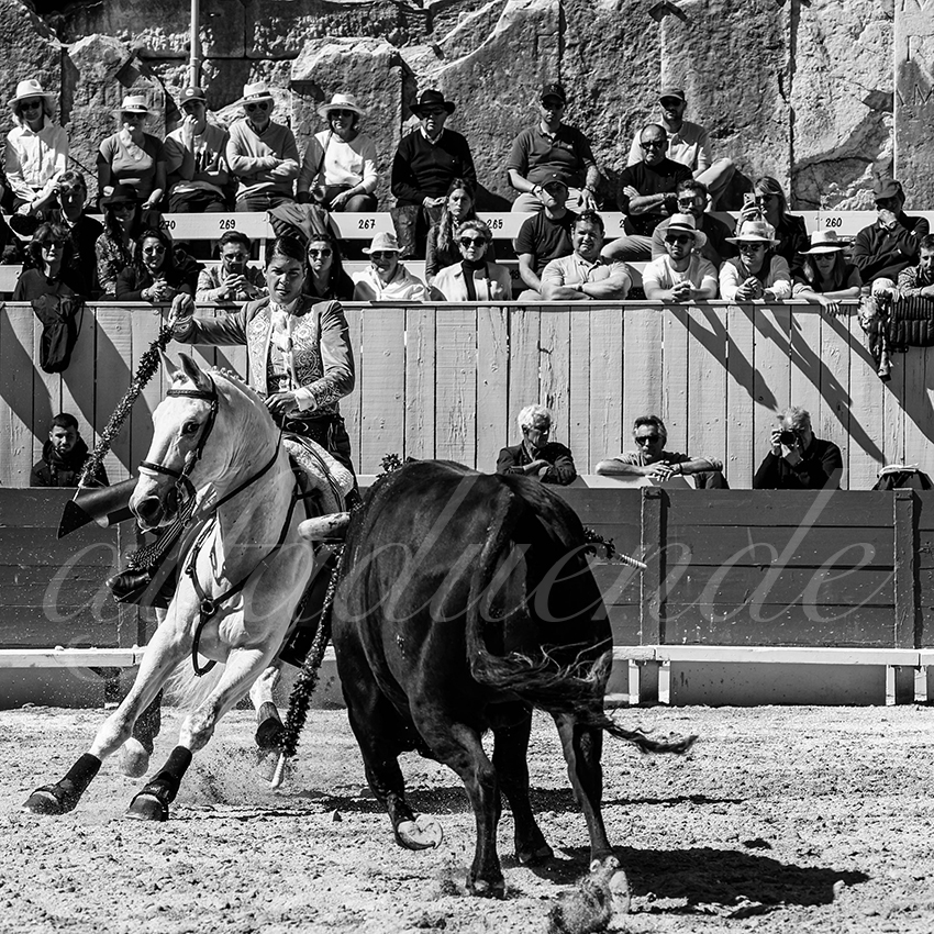 20240401 arles 009 bw bd