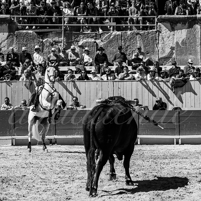 20240401 arles 008 bw bd