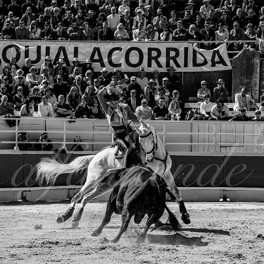 20240401 arles 007 bw bd