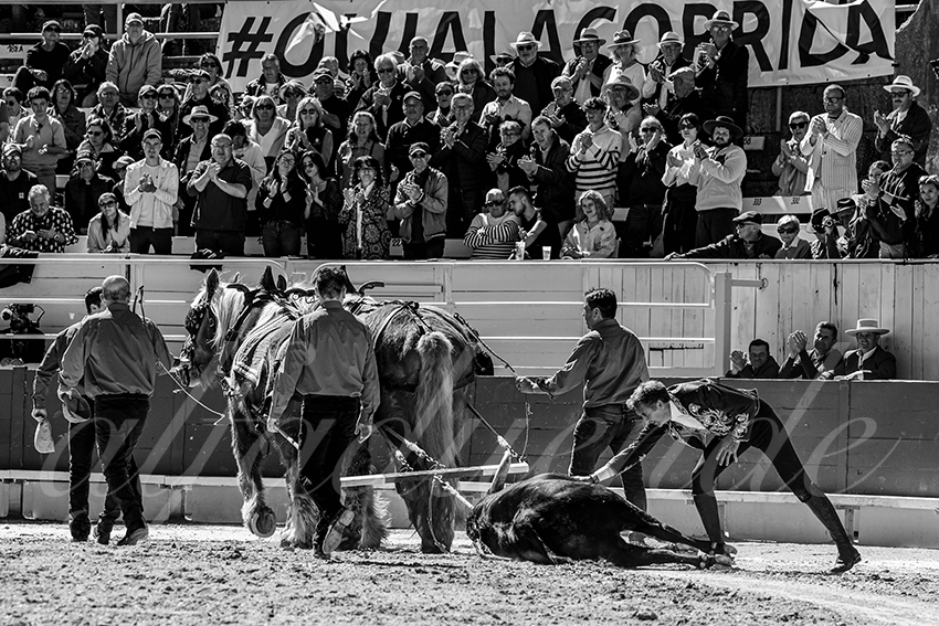 20240401 arles 004 bw bd