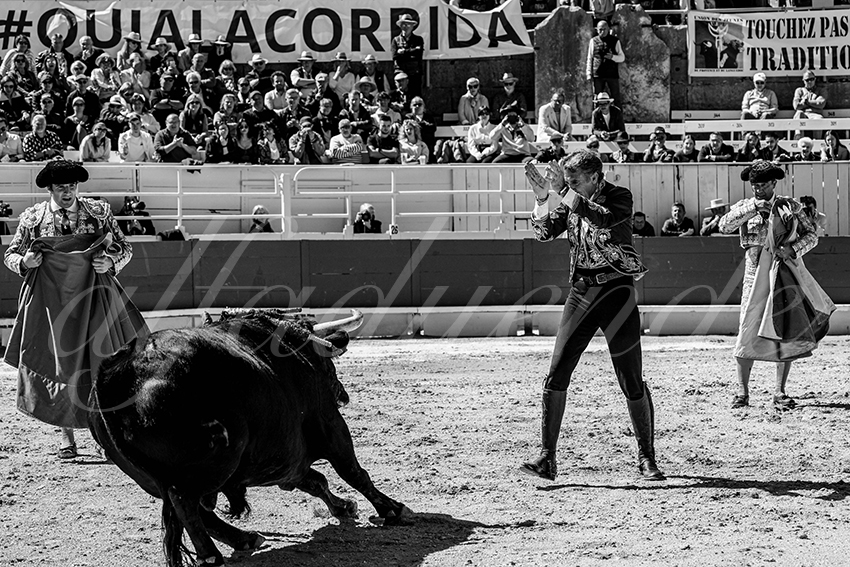 20240401 arles 003 bw bd