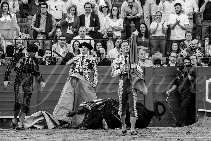 20240407 sevilla 012 bw bd