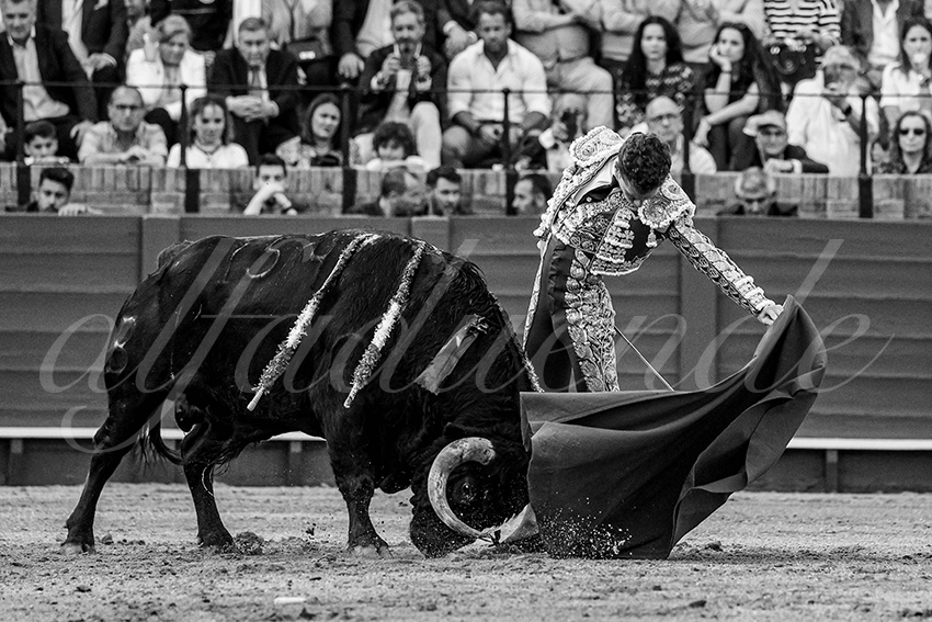 20240407 sevilla 011 bw bd