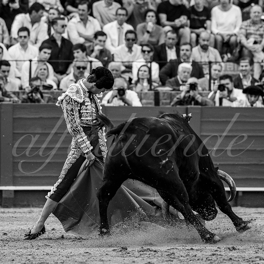 20240407 sevilla 010 bw bd