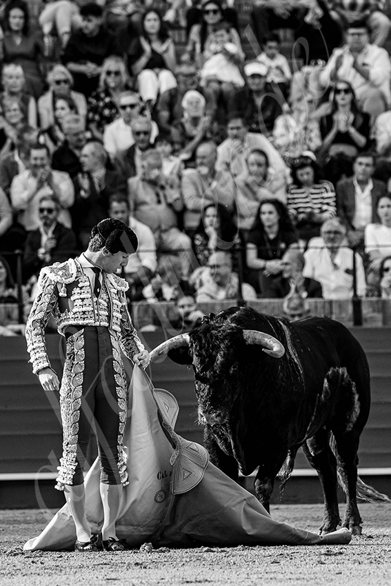 20240407 sevilla 009 bw bd