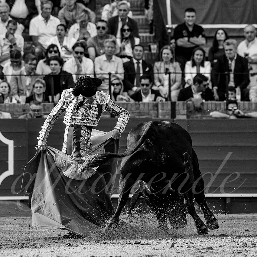 20240407 sevilla 008 bw bd