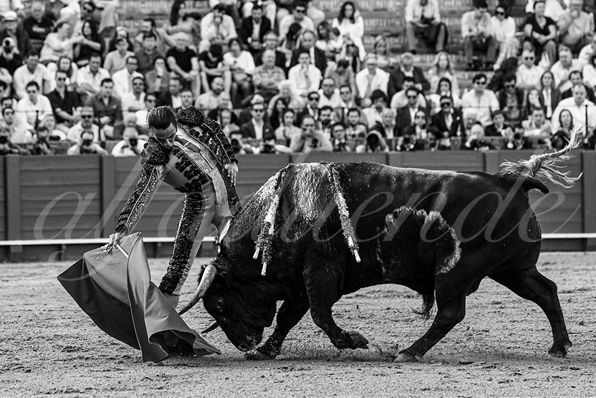 20240407 sevilla 007 bw bd