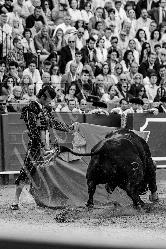 20240407 sevilla 006 bw bd