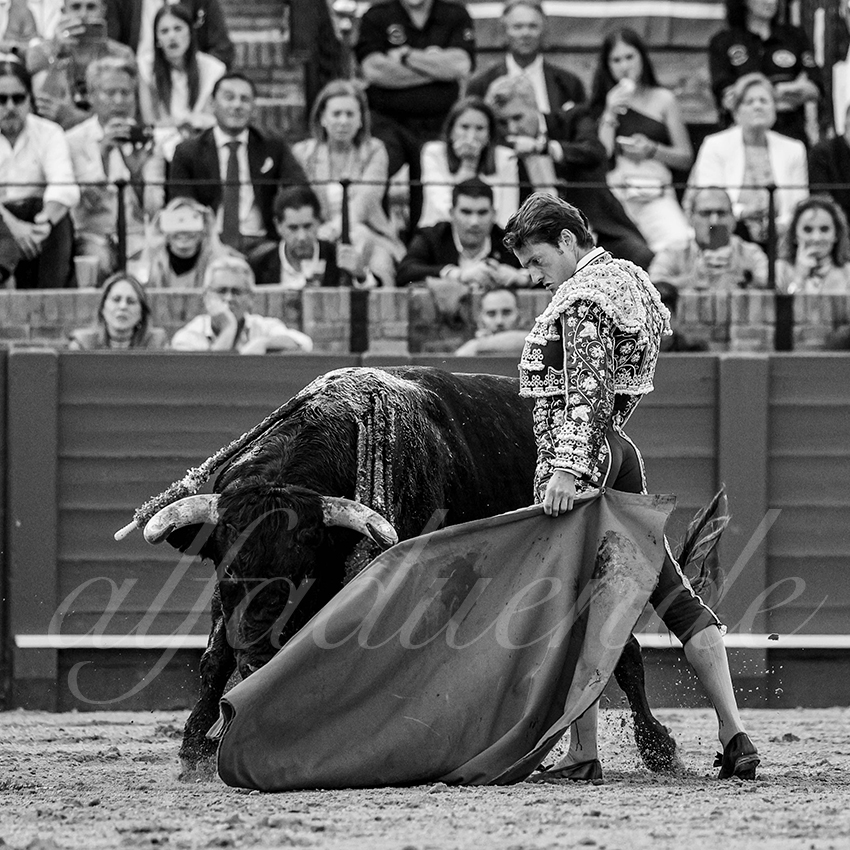 20240407 sevilla 004 bw bd