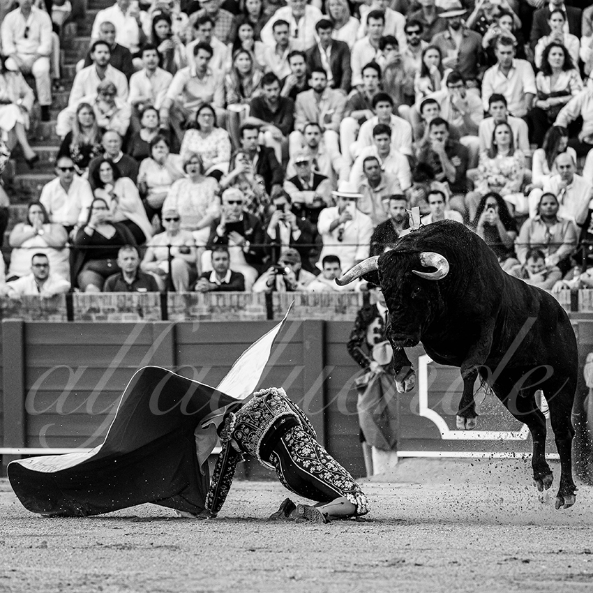 20240407 sevilla 003 bw bd