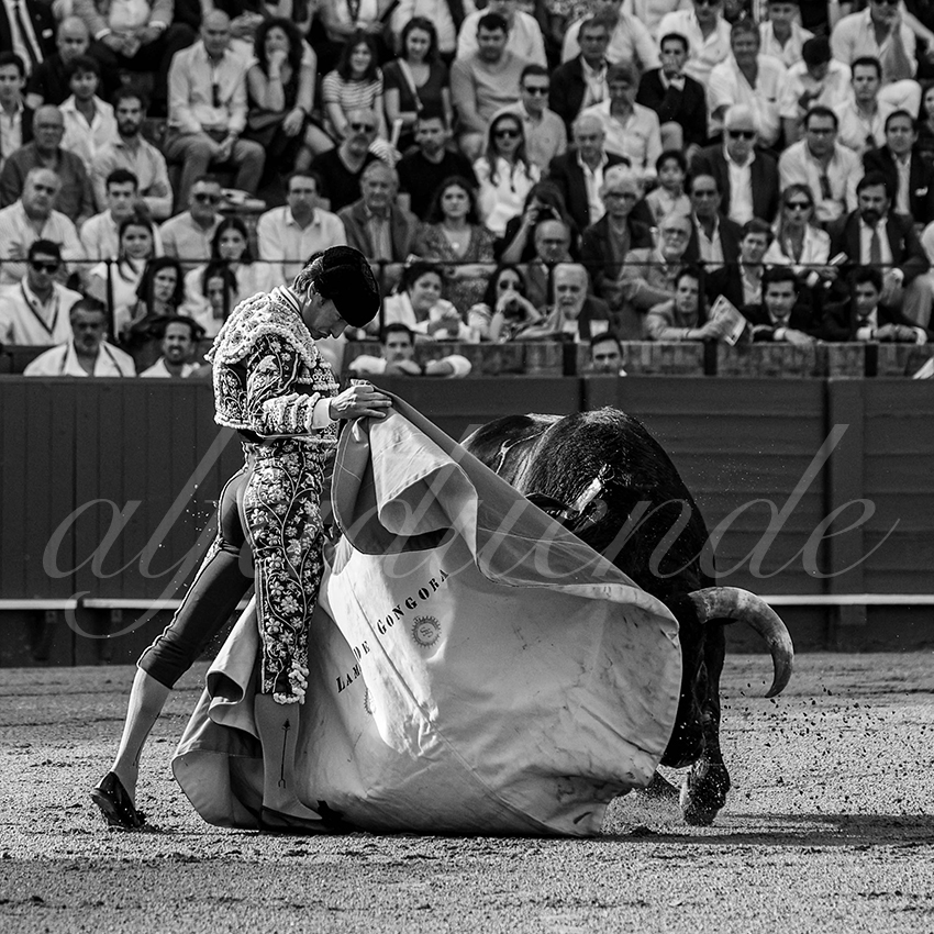 20240407 sevilla 002 bw bd