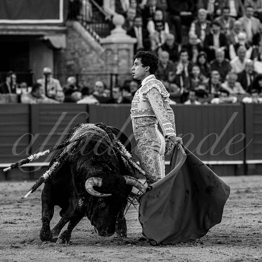 20240409 sevilla 017 bw bd