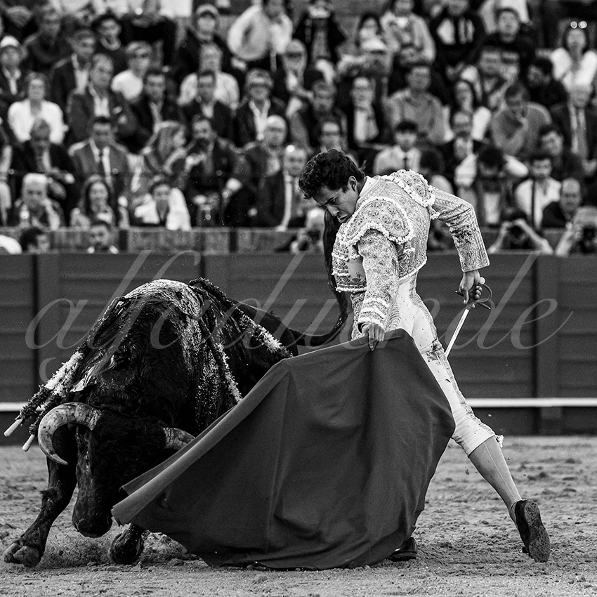 20240409 sevilla 016 bw bd