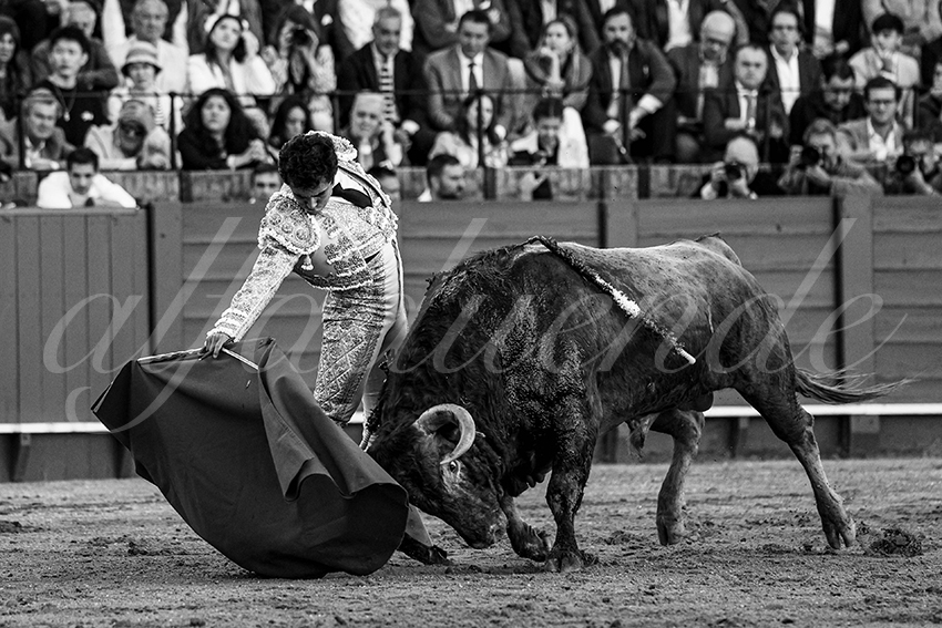 20240409 sevilla 015 bw bd