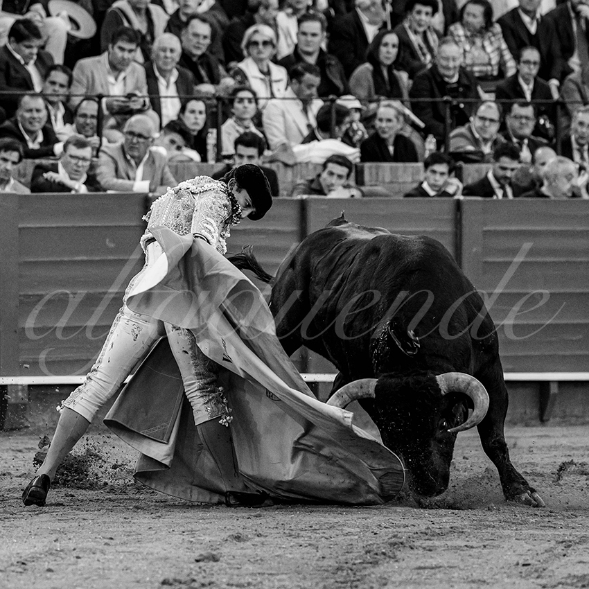 20240409 sevilla 014 bw bd