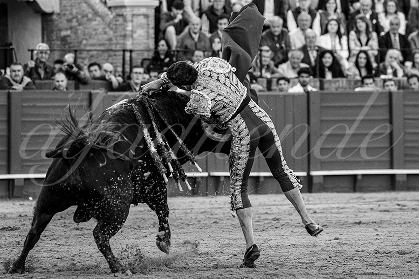 20240409 sevilla 013 bw bd