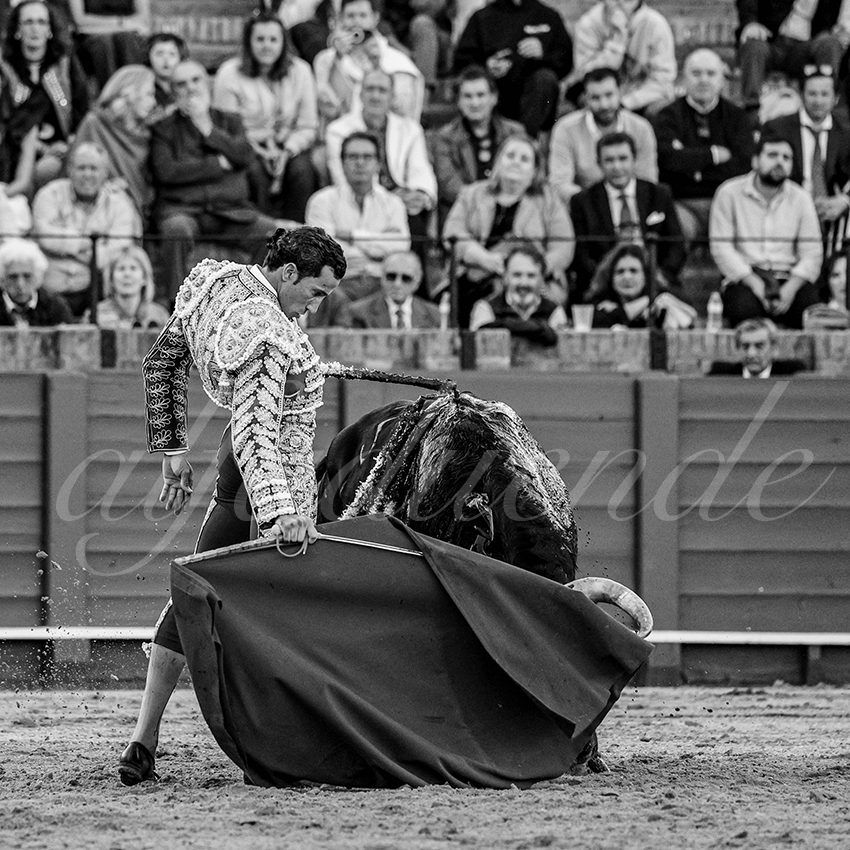20240409 sevilla 011 bw bd