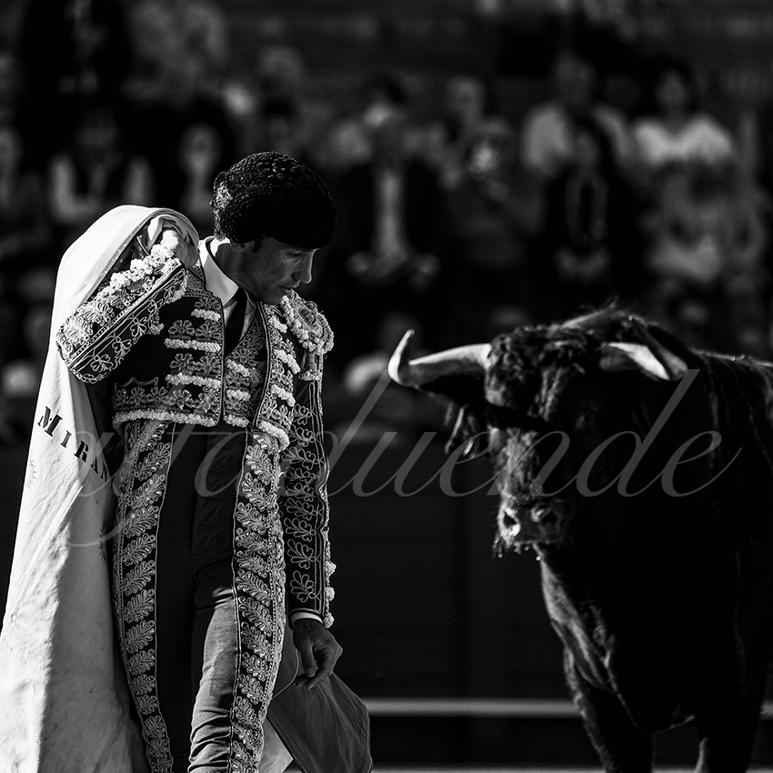 20240409 sevilla 009 bw bd