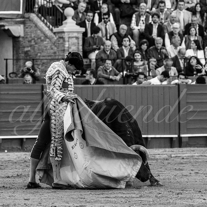 20240409 sevilla 008 bw bd